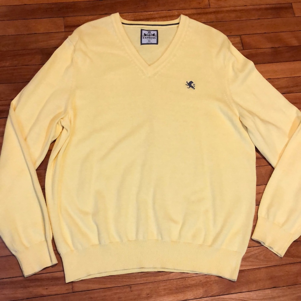 Express v-neck sweater